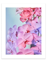 Giclée Studios, Giclee Print, Giclée Print, Australian Art Print, Shop Australian Art Prints, Best Floral Art Prints, Olive et Oriel Art Print, House of Spoils Print, Print Emporium, Dina Broadhurst Print, Temple & and Webster Art Print, Society6 Wall Art Prints, Fine Art Print, Photography Print, Modern Fine Art Prints, Flower Floral Artwork, Flower Floral Wall Art Print, Floral Print, Flower Floral Poster Art, Flower Floral Print, Acid Flowers Print Artwork, Flowers By Brett Matthew John Print Artwork