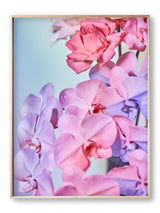Giclée Studios, Giclee Print, Giclée Print, Australian Art Print, Shop Australian Art Prints, Best Floral Art Prints, Olive et Oriel Art Print, House of Spoils Print, Print Emporium, Dina Broadhurst Print, Temple & and Webster Art Print, Society6 Wall Art Prints, Fine Art Print, Photography Print, Modern Fine Art Prints, Flower Floral Artwork, Flower Floral Wall Art Print, Floral Print, Flower Floral Poster Art, Flower Floral Print, Acid Flowers Print Artwork, Flowers By Brett Matthew John Print Artwork