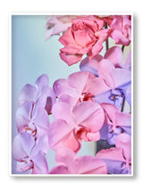 Giclée Studios, Giclee Print, Giclée Print, Australian Art Print, Shop Australian Art Prints, Best Floral Art Prints, Olive et Oriel Art Print, House of Spoils Print, Print Emporium, Dina Broadhurst Print, Temple & and Webster Art Print, Society6 Wall Art Prints, Fine Art Print, Photography Print, Modern Fine Art Prints, Flower Floral Artwork, Flower Floral Wall Art Print, Floral Print, Flower Floral Poster Art, Flower Floral Print, Acid Flowers Print Artwork, Flowers By Brett Matthew John Print Artwork