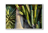 Giclee Studios, Giclee Print, Giclée Studios, Giclée Print, Australian Art Print, Shop Modern Fine Art Prints, Melbourne Art Print, Olive et Oriel Art Print, Print Emporium Art Print, House Of Spoils, Temple & Webster Art Print, Temple and Webster Art Print, Society6 Wall Art Prints, Fine Art Print, Photography Print, Joshua Tree Print, Joshua Tree Wall Art, Palm Springs Art Print, Palm Springs Wall Art, Desert Print, Palm Tree Wall Art Print, Palm Tree Artwork Print, Cactus Artwork, Cactus Wall Art