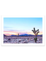 Giclee Studios, Joshua Tree Giclee Print, Giclée Studios, Giclée Print, Buy Joshua Tree Art Prints, Shop Joshua Tree Desert Photography Prints, Olive et Oriel Art Print, Print Emporium Art Print, Temple & Webster Art Print, Society6 Wall Art Prints, Fine Art Print, Photography Print, Modern Fine Art Prints, Contemporary Art Prints, Palm Springs Wall Art, Palm Springs Wall Print, Palm Springs Art Print, Palm Springs Artwork, Palm Springs Joshua Tree Print, Sunrise Art Print, Sunset Art Print