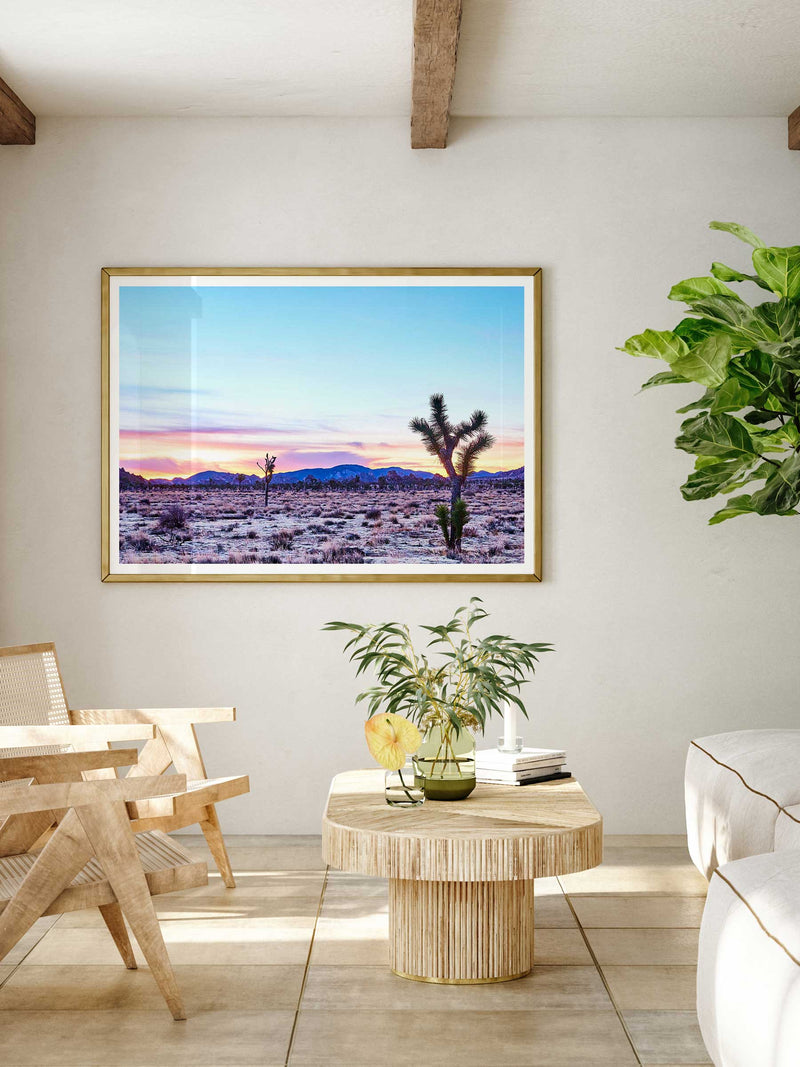 Giclee Studios, Joshua Tree Giclee Print, Giclée Studios, Giclée Print, Buy Joshua Tree Art Prints, Shop Joshua Tree Desert Photography Prints, Olive et Oriel Art Print, Print Emporium Art Print, Temple & Webster Art Print, Society6 Wall Art Prints, Fine Art Print, Photography Print, Modern Fine Art Prints, Contemporary Art Prints, Palm Springs Wall Art, Palm Springs Wall Print, Palm Springs Art Print, Palm Springs Artwork, Palm Springs Joshua Tree Print, Sunrise Art Print, Sunset Art Print
