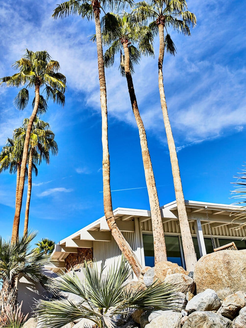 Palm Springs artwork, Palm Springs Poster Art, Palm Springs Art Print, Mid-Century Architecture Art Print, Vintage Thunderbird Artwork, Vintage Thunderbird Art Print, Palm Springs photography print, LA Wall Art Print, home décor wall art, wall art prints, Melbourne Print Studio, Australian Wall Art Prints, Los Angeles Wall Art, fine-art wall décor and interior design. Home décor print interior design. Palm Springs Artwork, Palm Springs Art Print, Palm Springs Poster, Mid-Century Print, Palm Print Artwork.