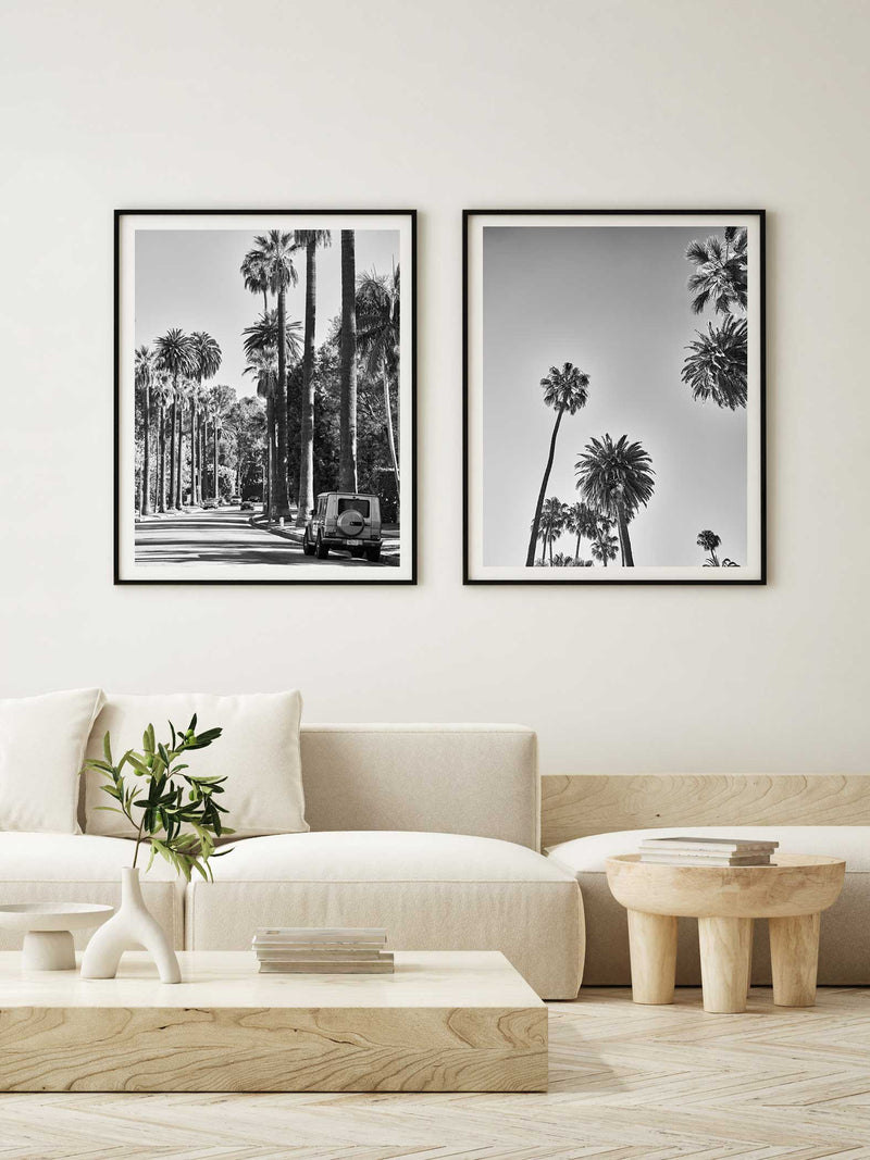 LA Black and White Print Palm Print Hollywood Hills Wall Art Hollywood Hills LA Artwork Print Los Angeles Artwork Wall Art Famous Wall Art Print Best Designer Art Print Best LA Artworks Affordable Artworks LA Palm Tree Print Art The Block Artwork Australia Art Print Interior Design Prints The Block Australia Artwork Palm Tree Print Home Décor Print Best Art Print Hollywood Photography Print Designer Hollywood Art LA Palm Tree Photography Print Poster Olive et Oriel Print Emporium