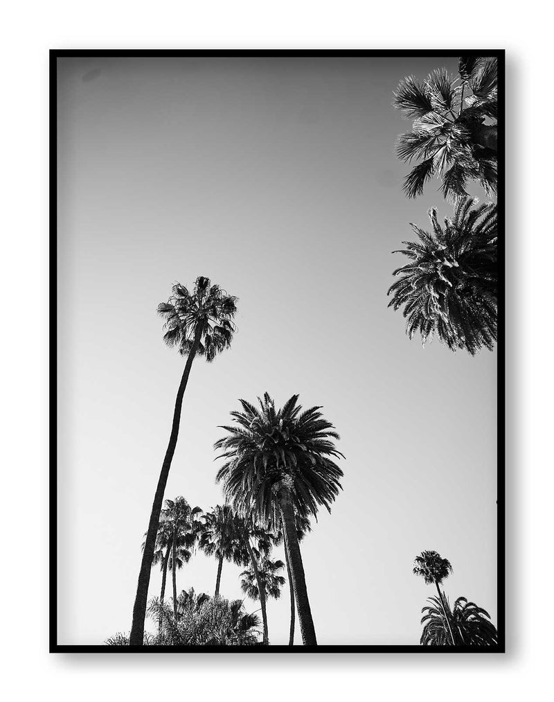 LA Black and White Print Palm Print Hollywood Hills Wall Art Hollywood Hills LA Artwork Print Los Angeles Artwork Wall Art Famous Wall Art Print Best Designer Art Print Best LA Artworks Affordable Artworks LA Palm Tree Print Art The Block Artwork Australia Art Print Interior Design Prints The Block Australia Artwork Palm Tree Print Home Décor Print Best Art Print Hollywood Photography Print Designer Hollywood Art LA Palm Tree Photography Print Poster Olive et Oriel Print Emporium