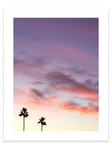 Palm Sunset