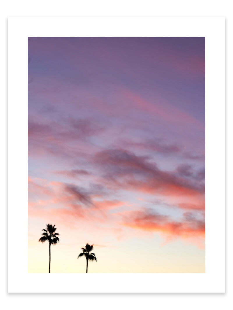 Palm Sunset