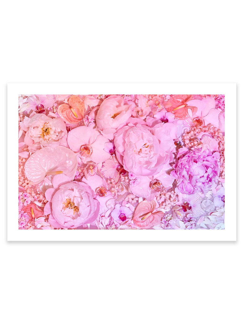 Giclée Studios, Giclée Print, Giclee Studios, Giclee Print, Flowers By Brett Matthew John, FBMJ, FBMJ X Giclée Studios Collab, Flower Art Print, Flower Still Life, Floral Art Print, Shop Australian Art, Australian Art Print, Melbourne Art Print, Olive et Oriel, Print Emporium, Dina Broadhurst Art, Quicksand Rose Print, Quicksand Rose Fine Art Print, Quicksand Rose Photography Print, Modern Art Prints, Acid Flowers, AF Flowers Art Print, Flower Fine-Art Print, Hattie Molloy Art Print, Vicki Lee Rose Print.