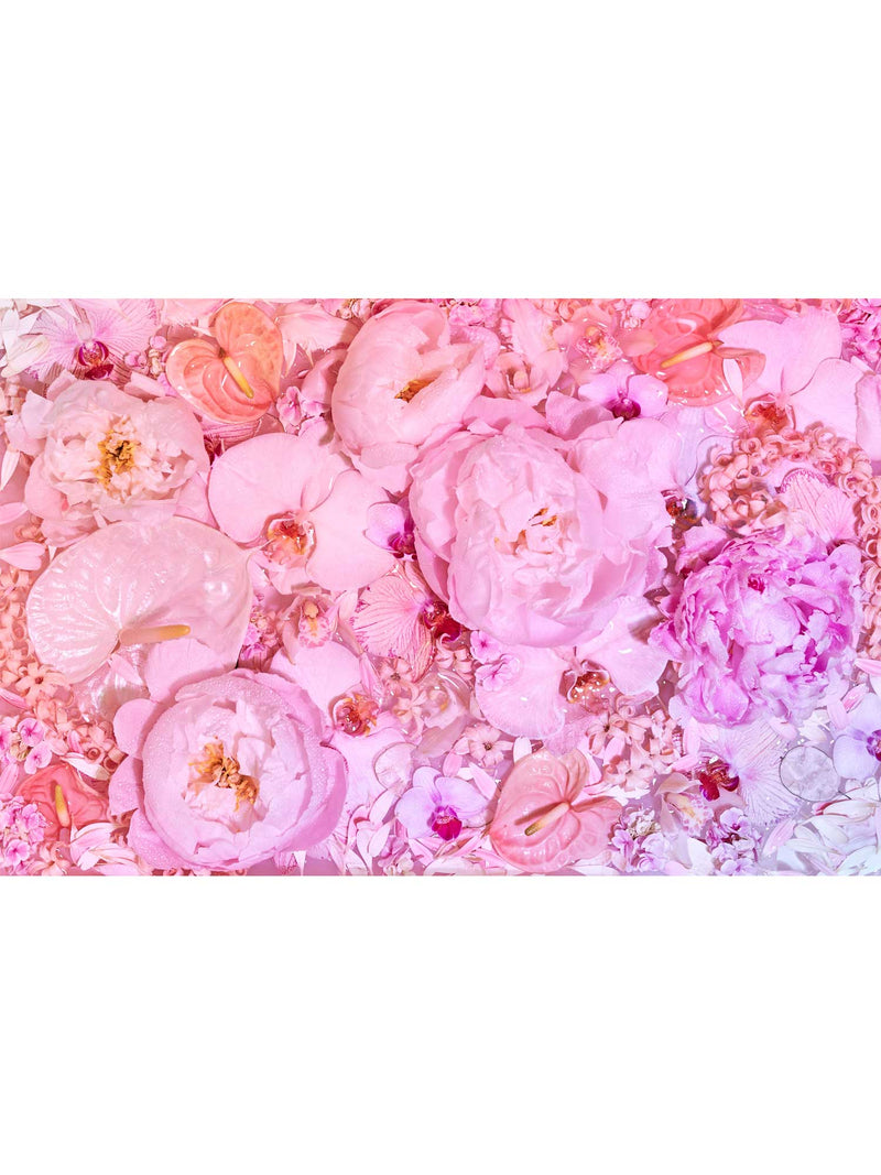 Giclée Studios, Giclée Print, Giclee Studios, Giclee Print, Flowers By Brett Matthew John, FBMJ, FBMJ X Giclée Studios Collab, Flower Art Print, Flower Still Life, Floral Art Print, Shop Australian Art, Australian Art Print, Melbourne Art Print, Olive et Oriel, Print Emporium, Dina Broadhurst Art, Quicksand Rose Print, Quicksand Rose Fine Art Print, Quicksand Rose Photography Print, Modern Art Prints, Acid Flowers, AF Flowers Art Print, Flower Fine-Art Print, Hattie Molloy Art Print, Vicki Lee Rose Print.