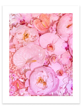 Giclée Studios, Giclée Print, Giclee Studios, Giclee Print, Flowers By Brett Matthew John, FBMJ, FBMJ X Giclée Studios Collab, Flower Art Print, Flower Still Life, Floral Art Print, Shop Australian Art, Australian Art Print, Melbourne Art Print, Olive et Oriel, Print Emporium, Dina Broadhurst Art, Quicksand Rose Print, Quicksand Rose Fine Art Print, Quicksand Rose Photography Print, Modern Art Prints, Acid Flowers, AF Flowers Art Print, Flower Fine-Art Print, Hattie Molloy Art Print, Vicki Lee Rose Print.