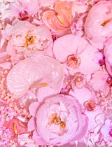 Giclée Studios, Giclée Print, Giclee Studios, Giclee Print, Flowers By Brett Matthew John, FBMJ, FBMJ X Giclée Studios Collab, Flower Art Print, Flower Still Life, Floral Art Print, Shop Australian Art, Australian Art Print, Melbourne Art Print, Olive et Oriel, Print Emporium, Dina Broadhurst Art, Quicksand Rose Print, Quicksand Rose Fine Art Print, Quicksand Rose Photography Print, Modern Art Prints, Acid Flowers, AF Flowers Art Print, Flower Fine-Art Print, Hattie Molloy Art Print, Vicki Lee Rose Print.