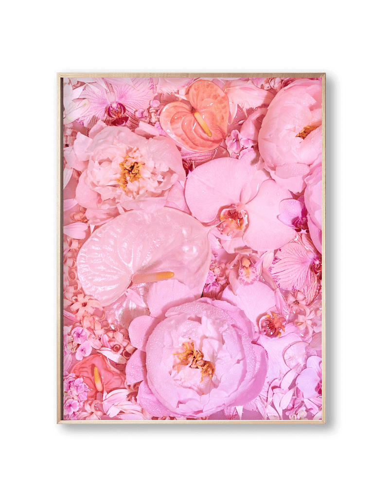 Giclée Studios, Giclée Print, Giclee Studios, Giclee Print, Flowers By Brett Matthew John, FBMJ, FBMJ X Giclée Studios Collab, Flower Art Print, Flower Still Life, Floral Art Print, Shop Australian Art, Australian Art Print, Melbourne Art Print, Olive et Oriel, Print Emporium, Dina Broadhurst Art, Quicksand Rose Print, Quicksand Rose Fine Art Print, Quicksand Rose Photography Print, Modern Art Prints, Acid Flowers, AF Flowers Art Print, Flower Fine-Art Print, Hattie Molloy Art Print, Vicki Lee Rose Print.