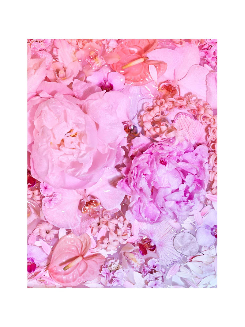 Giclée Studios, Giclée Print, Giclee Studios, Giclee Print, Flowers By Brett Matthew John, FBMJ, FBMJ X Giclée Studios Collab, Flower Art Print, Flower Still Life, Floral Art Print, Shop Australian Art, Australian Art Print, Melbourne Art Print, Olive et Oriel, Print Emporium, Dina Broadhurst Art, Quicksand Rose Print, Quicksand Rose Fine Art Print, Quicksand Rose Photography Print, Modern Art Prints, Acid Flowers, AF Flowers Art Print, Flower Fine-Art Print, Hattie Molloy Art Print, Vicki Lee Rose Print.