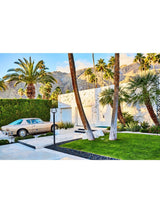 Studebaker Palms
