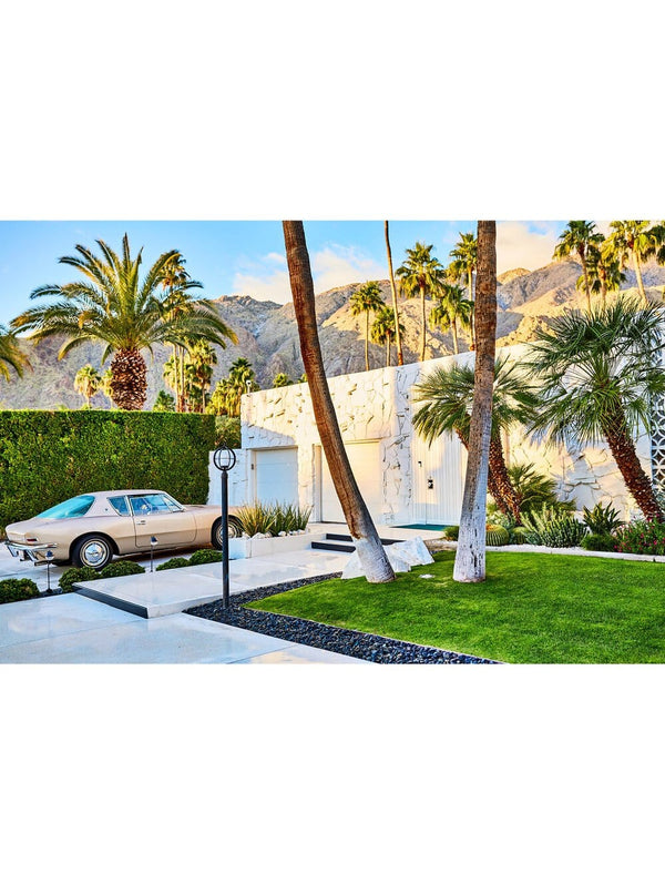 Studebaker Palms