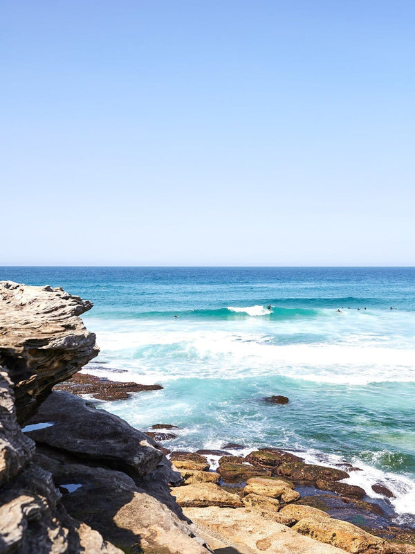 Tamarama Ocean View