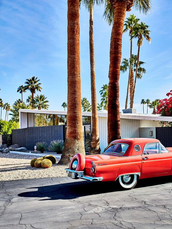Best Palm Springs Art Prints, Photography art print Mid-Century Architecture House Palm Springs, California Los Angeles, Vintage Thunderbird Car Wall Art, Home décor interior design print artwork, Palm Springs Wall Art, Palm Springs Artwork, Palm Springs Art Print, Palm Springs Poster, Mid-Century Print Poster, Architectural, Modern Photographic Wall Art Print Poster, Car Print Artwork, Los Angeles Wall Art, LA Print Artwork, LA Wall Art, Wall art home décor print interior design