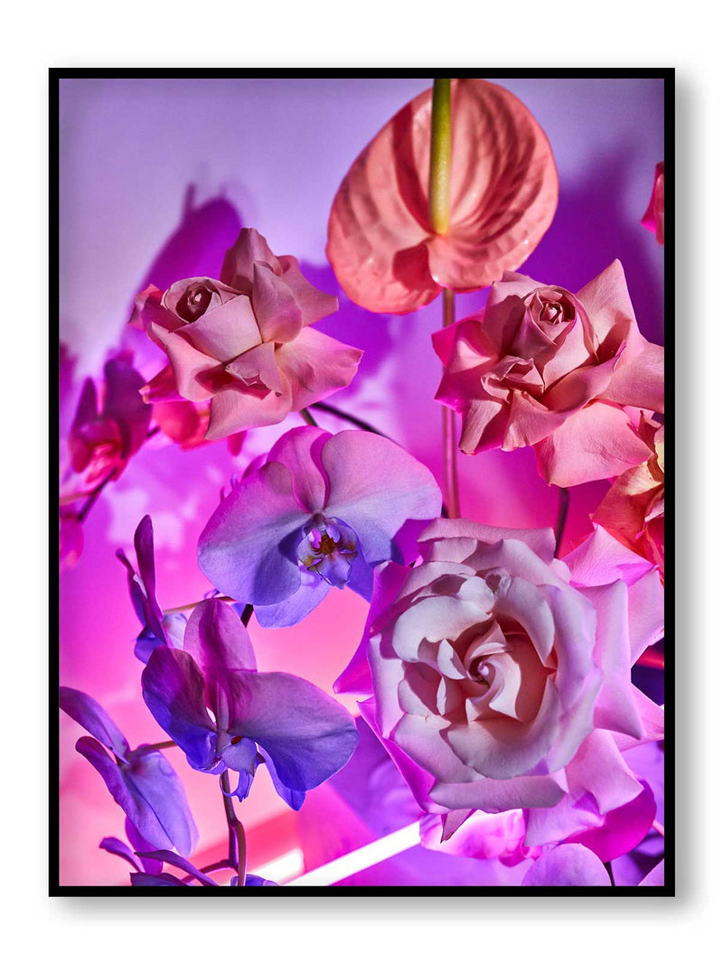 Ultraviolet